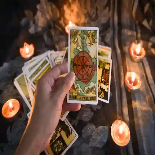 tarot cards new