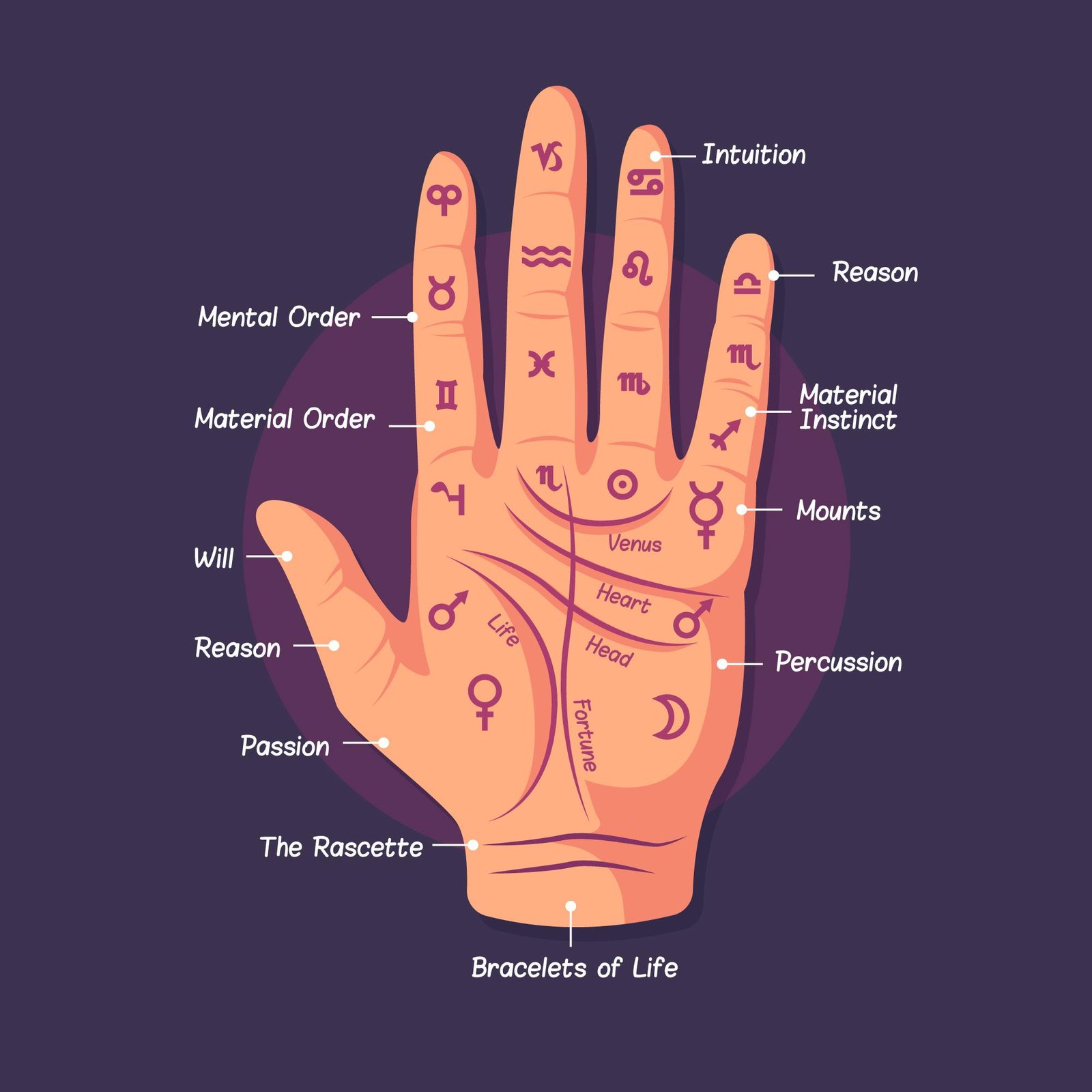 Palmistry Hand Illustration