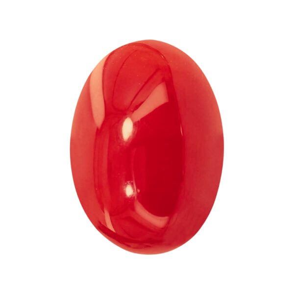 Red Coral (Moonga) Stone Mars Gemstone for Courage & Strength